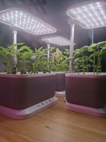 Mini Intelligent Hydroponic Planter Suitable For School, Family, Office, Home, Gift (Colour: Grey)